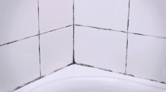 how to get rid of black mould