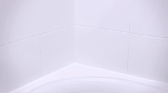black mould removal