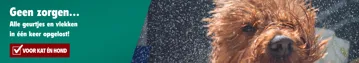 Banner Pet Desktop (1366 X 240 Px) 2