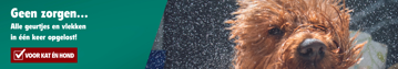 Banner Pet Desktop (1366 X 240 Px) 2