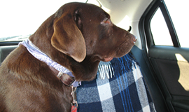 Auto Nare Geuren In Textiel