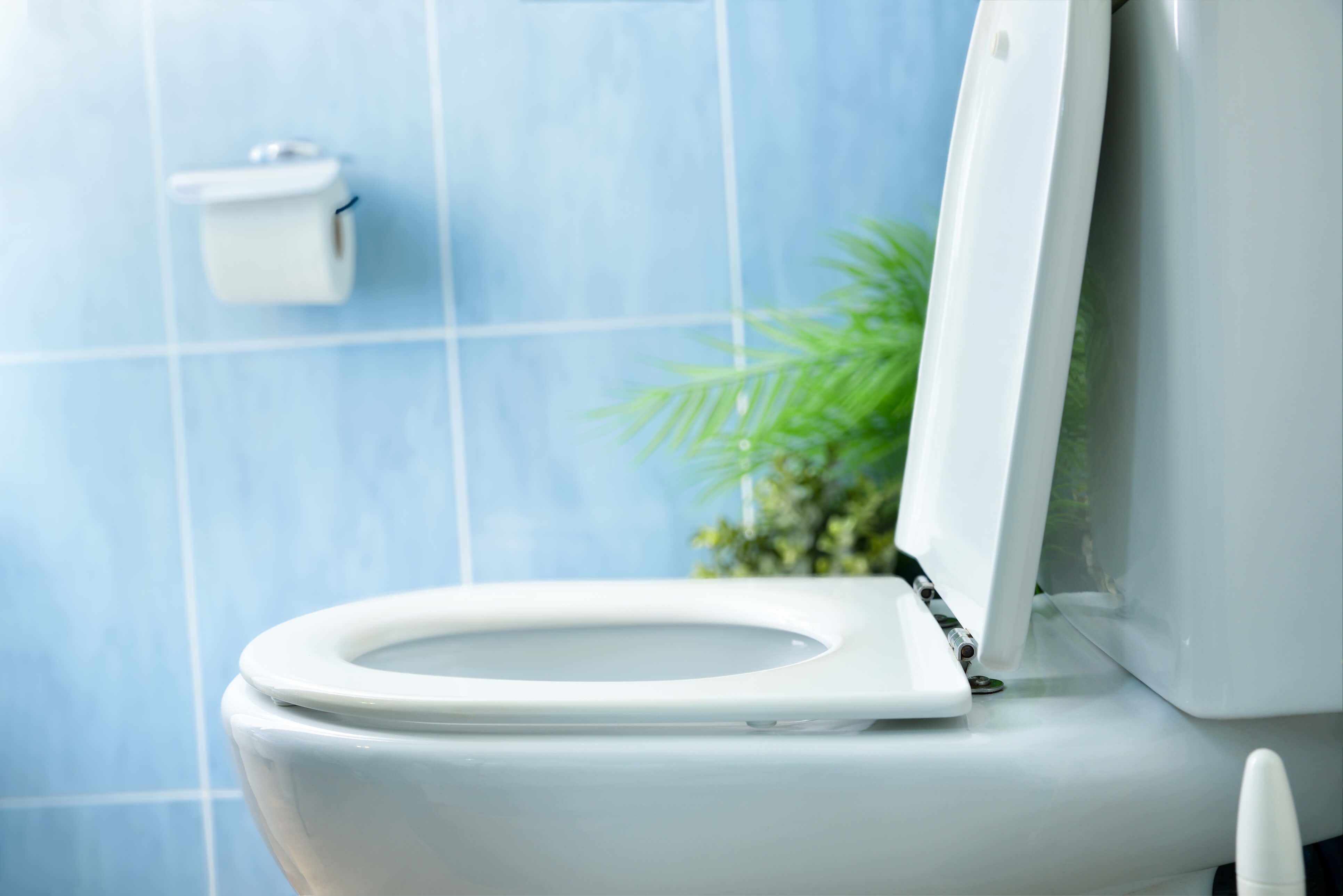 Toilet Banner
