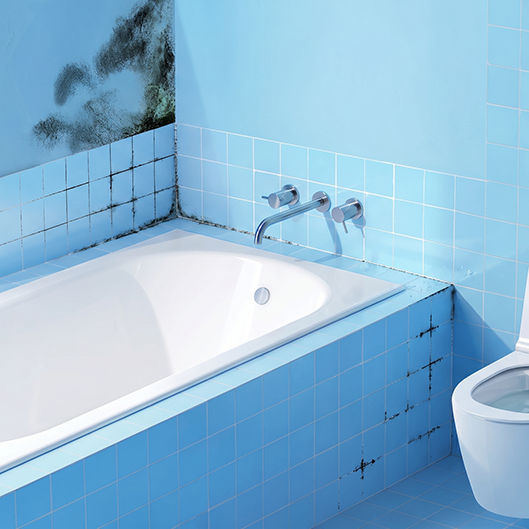 Categorymain Badkamer Schimmel (1)