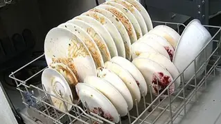 Dishwasher Cleaning 01