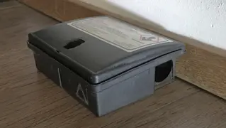 Muizen Bestrijden 02