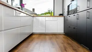 Shutterstock 2054261495
