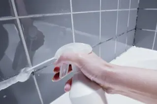 How To Get Rid Of Mould 01