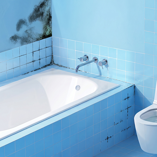 Categorymain Badkamer Schimmel