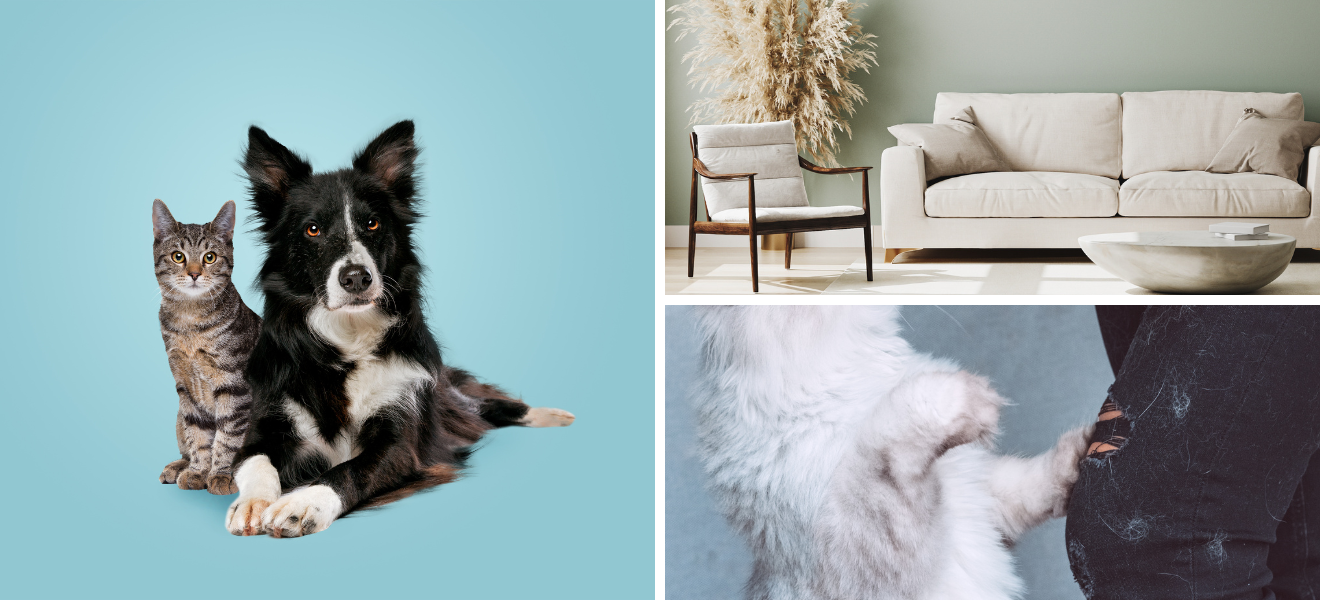 Pet Landingspagina Inspiratie