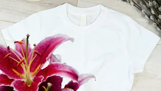Stuifmeel Uit Kleding 01