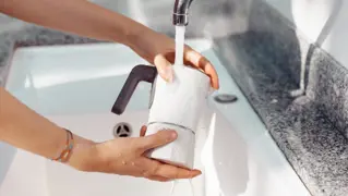 Shutterstock 2172432549