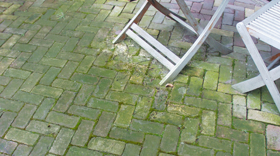 Groene Aanslag 01