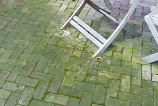Groene Aanslag 01