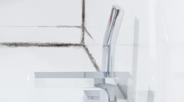 Mould Bathroom 01