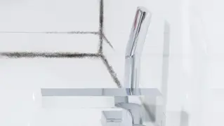 Mould Bathroom 01