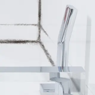 Mould Bathroom 01