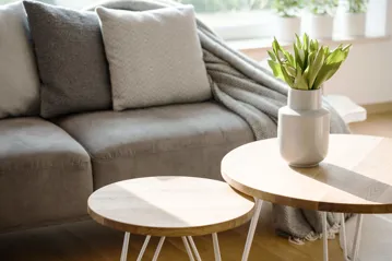 Advies Woonkamer Meubels