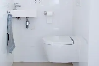 Toilette Reinigen 02