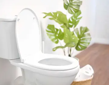 Advies Badkamer Wc