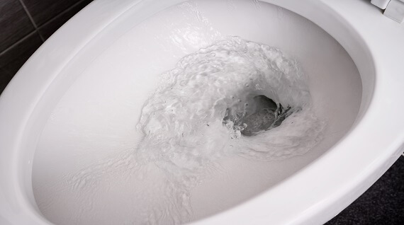 Wc Verstopt (2)