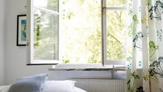 Moisissures Dans La Maison 02