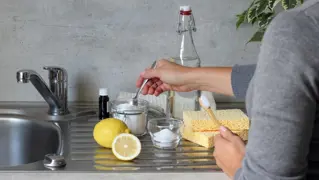 Shutterstock 2053911038