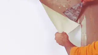 Decoller Papier Peint 02