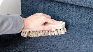 Teppich Reinigen 02