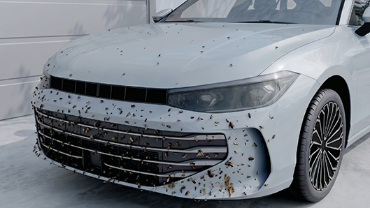 Categoryaddit Garage Insect