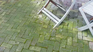 Grunbelag Entfernen 01