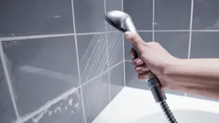 Eliminar El Moho 02