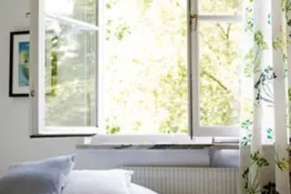 Schimmel In Huis 02