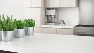 Shutterstock 1012543117