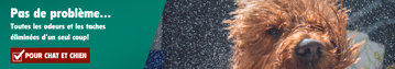 Banner Pet Desktopbe FR 2