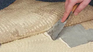 Teppichkleber Entfernen 01