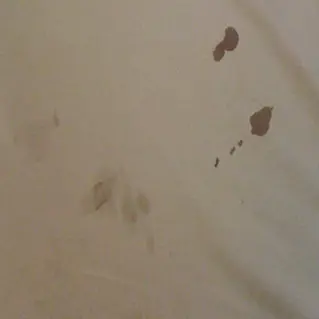 Remove Grease Stains 01