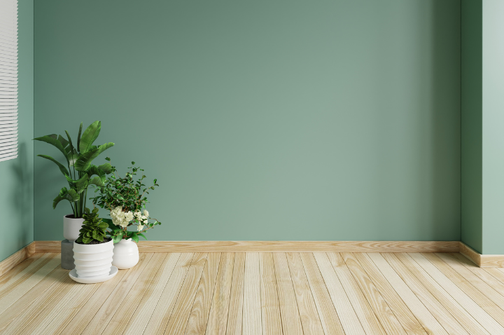 Afbeelding Voor Blog Zomerhoud 2