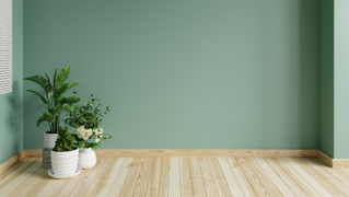 Afbeelding Voor Blog Zomerhoud 2