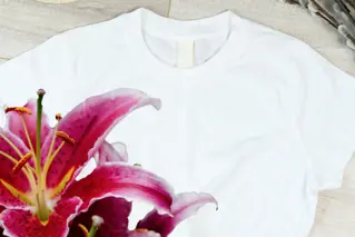Tache De Pollen 01